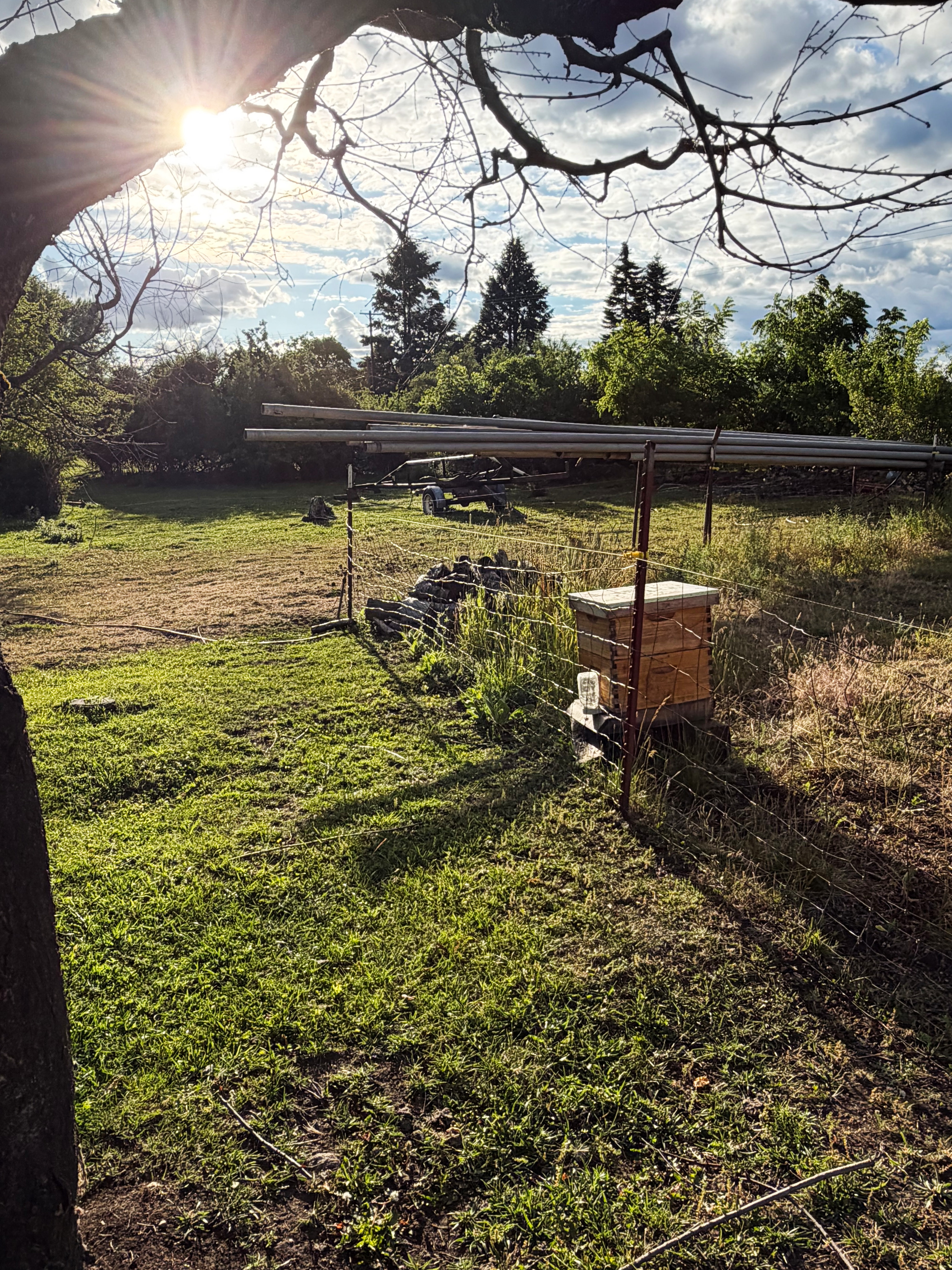 Farm view at Goldberry Hollow