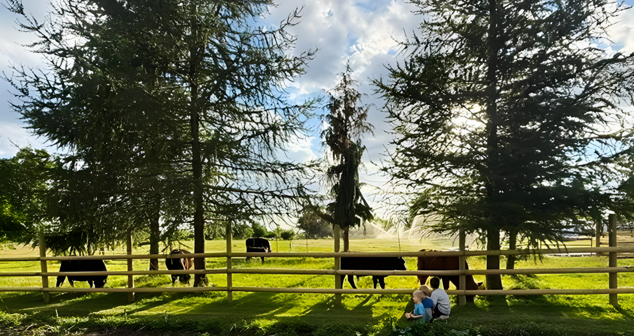 Goldberry Hollow farm landscape